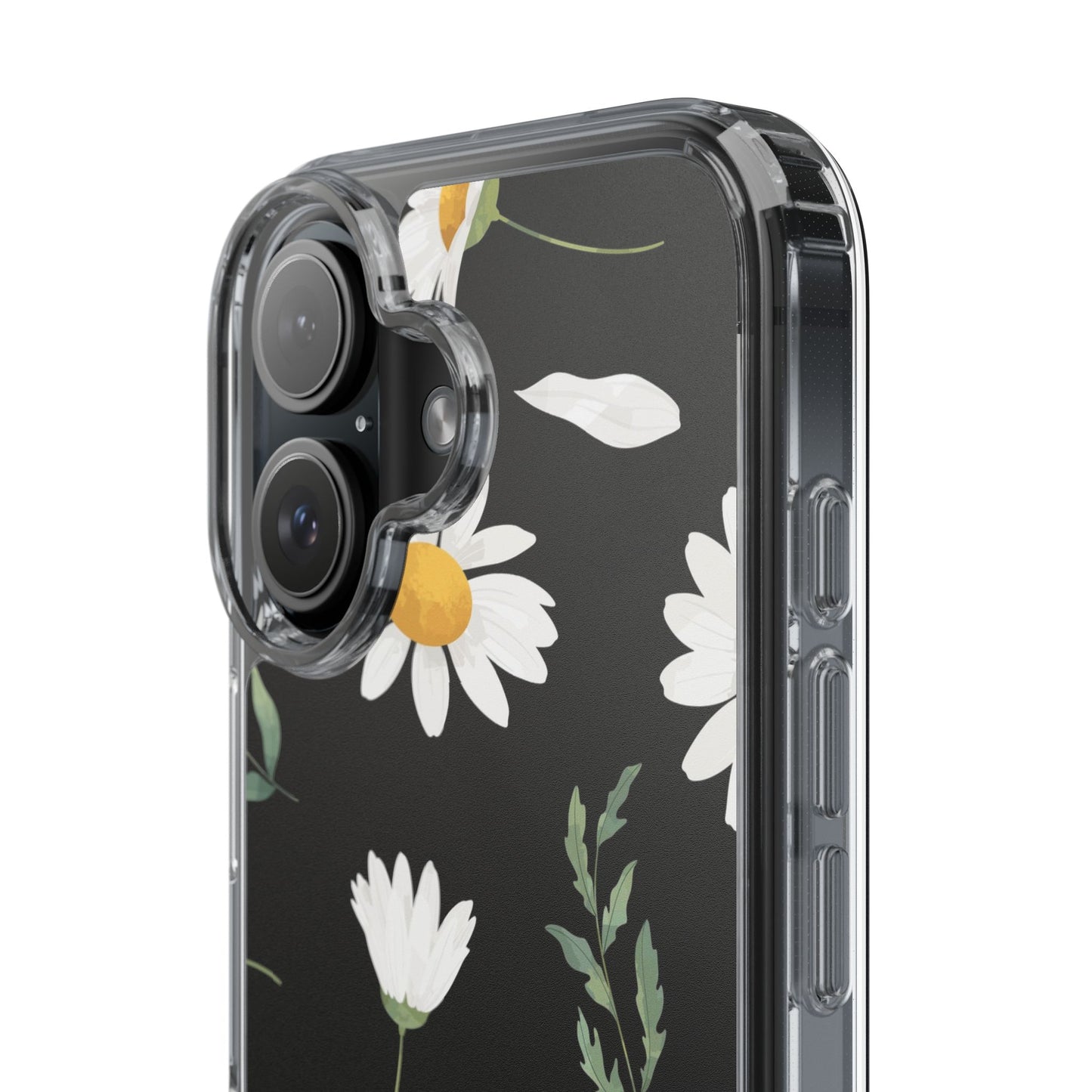 Daisy - Premium