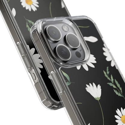 Daisy - Premium