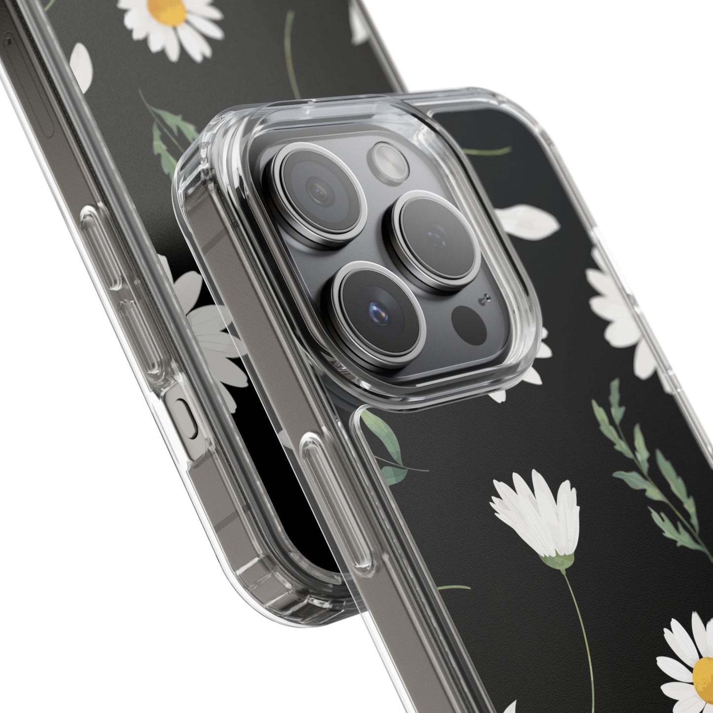 Daisy - Premium