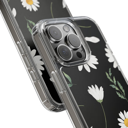 Daisy - Premium